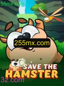 SavetheHamster: O Jogo de Aventura em 55mx.com
